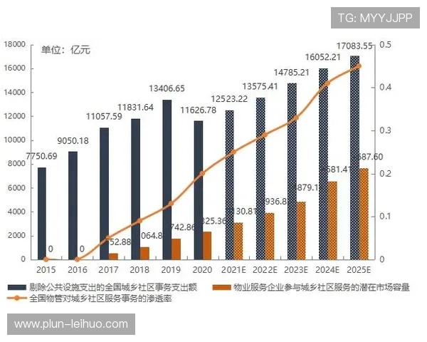 围绕维罗纳足球俱乐部的历史传承战术演变与城市文化影响全景解析